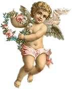 Cherub